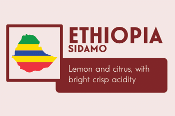 250g Ethiopia Washed Sidamo